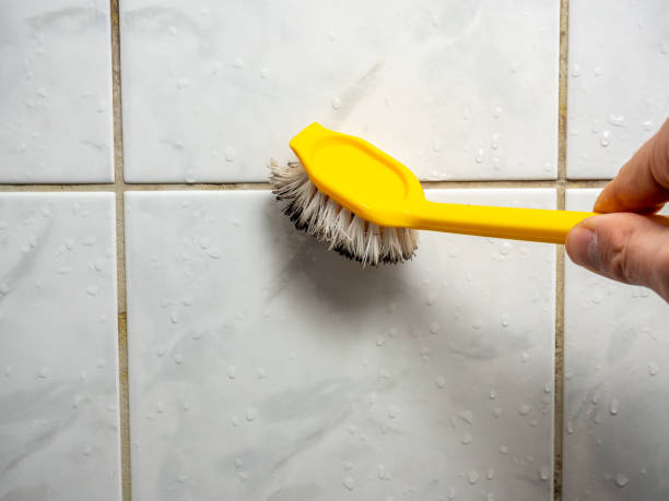 Trusted Carbonville, UT Mold Removal Experts