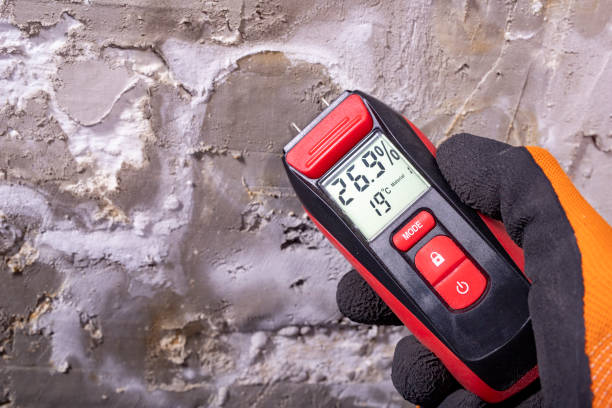 Best Black Mold Removal  in Carbonville, UT